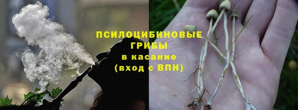 СК Зеленодольск