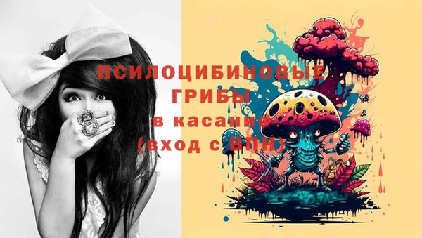 прущие крисы Инсар