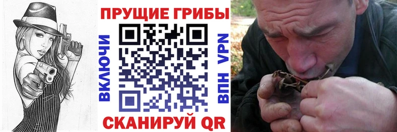 Галлюциногенные грибы Cubensis  Купить  Калязин 